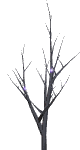 ani_trees026